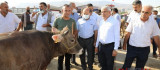 Başkan Güder, Canlı Hayvan Pazarı'nı Ziyaret Etti